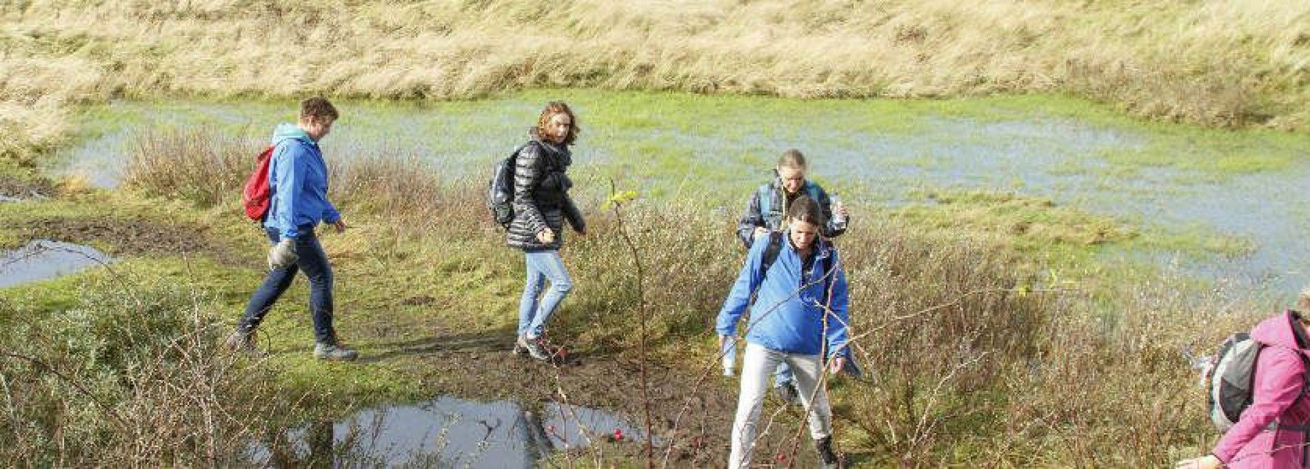 Zwischen Schlick und Sand - VVV Ameland