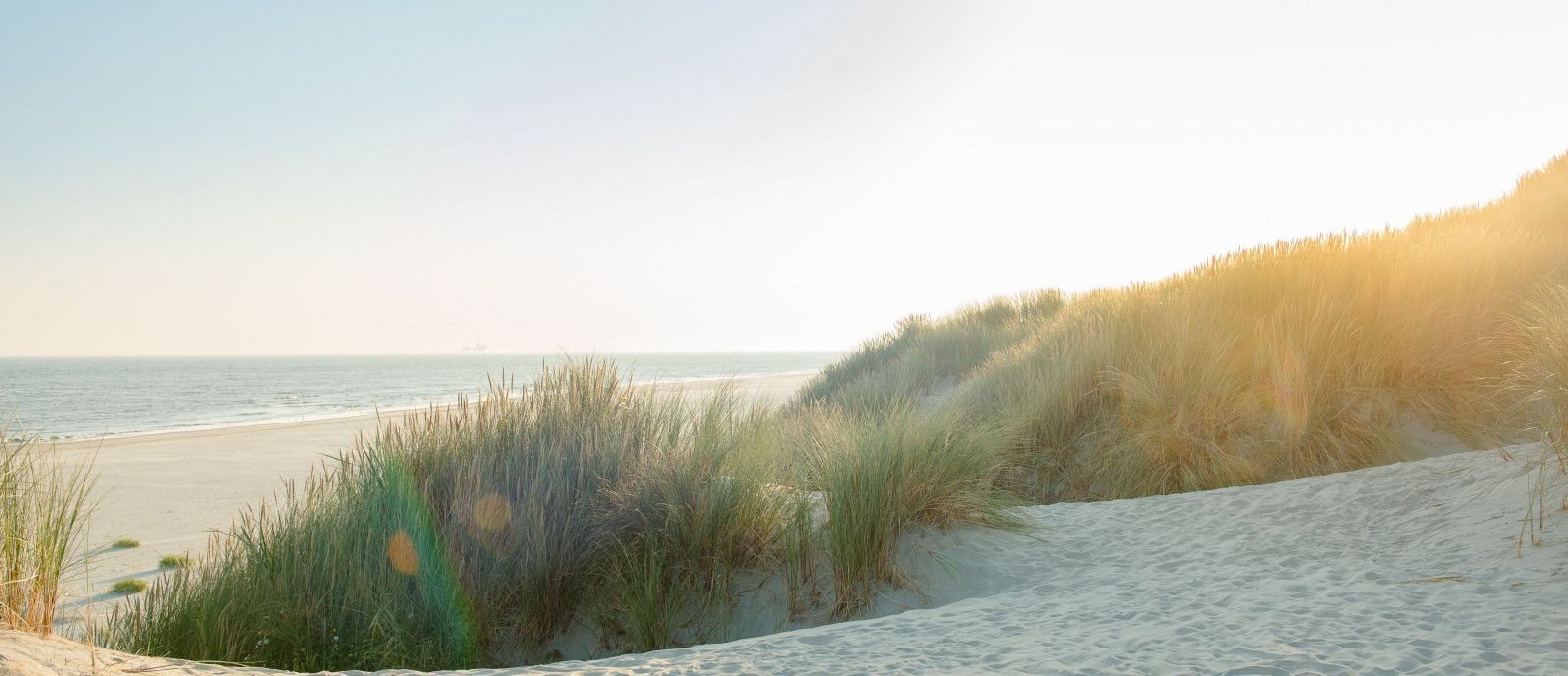 Ferienpaket - Webshop VVV Ameland