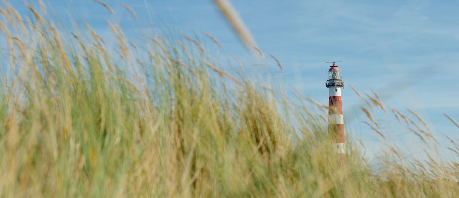 Tagesarrangement Ameland - VVV Ameland