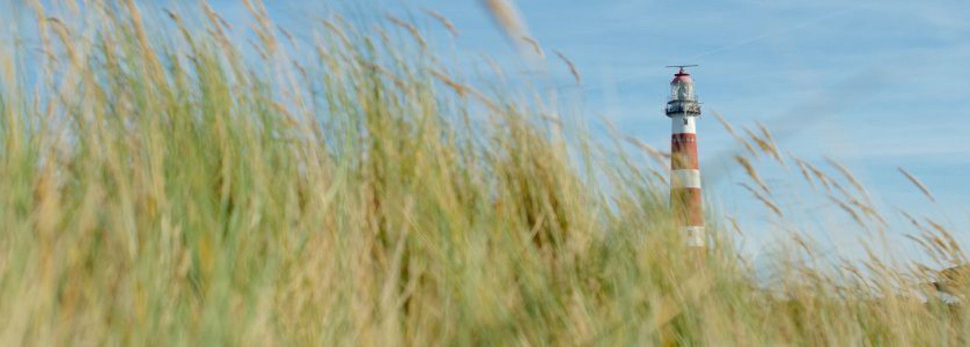 Nach und auf Ameland