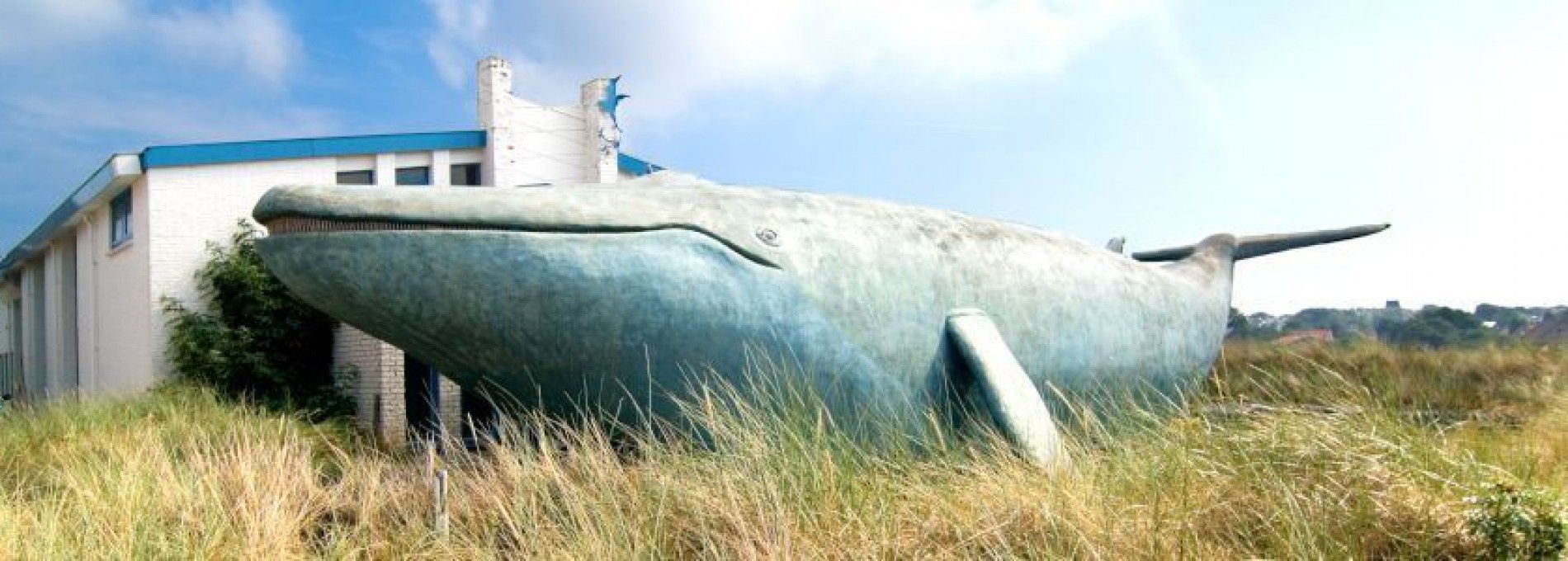 Der Walfang - VVV Ameland