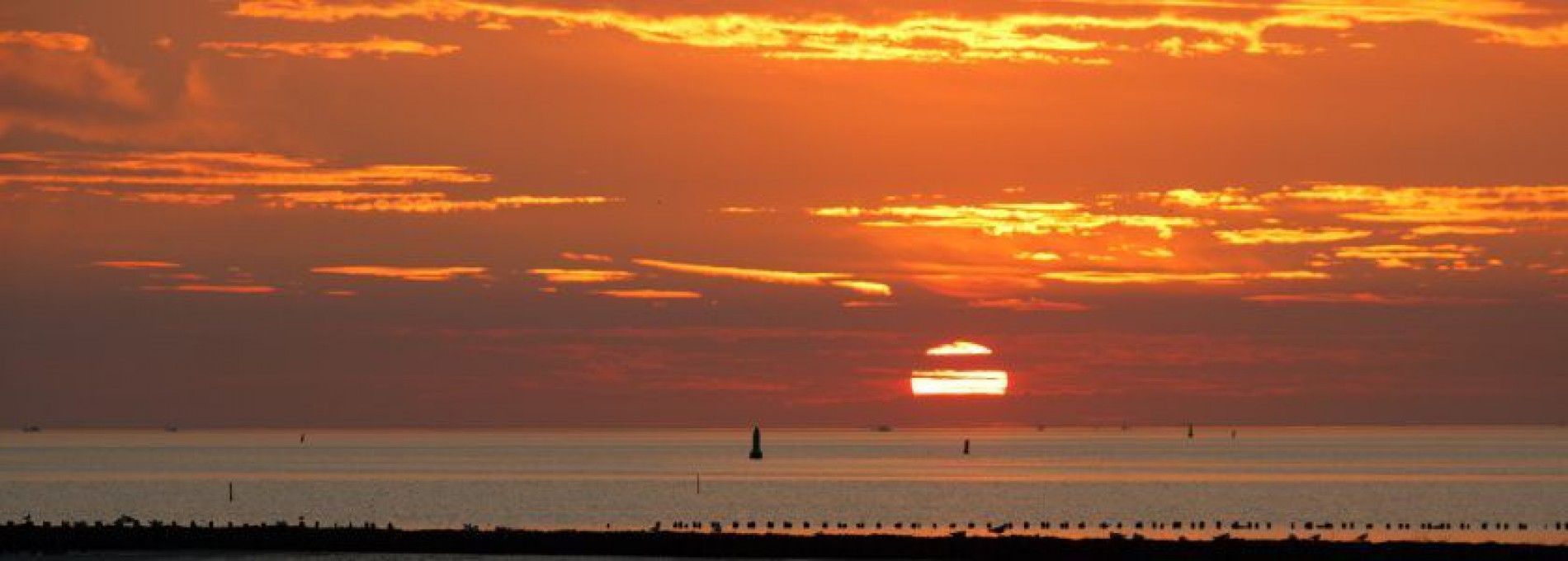 Das Watt - VVV Ameland