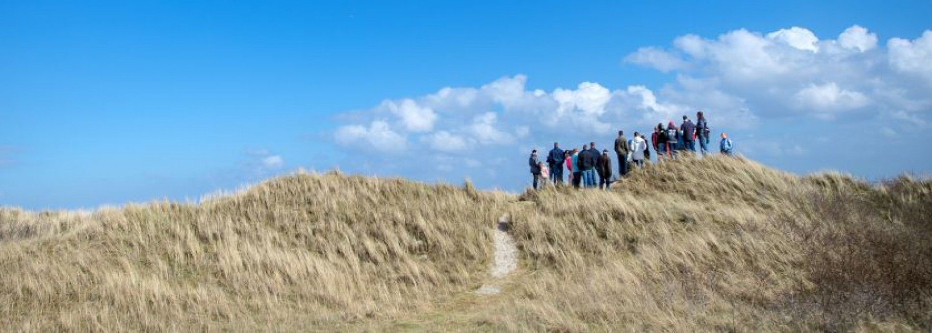 Programma VVV Ameland