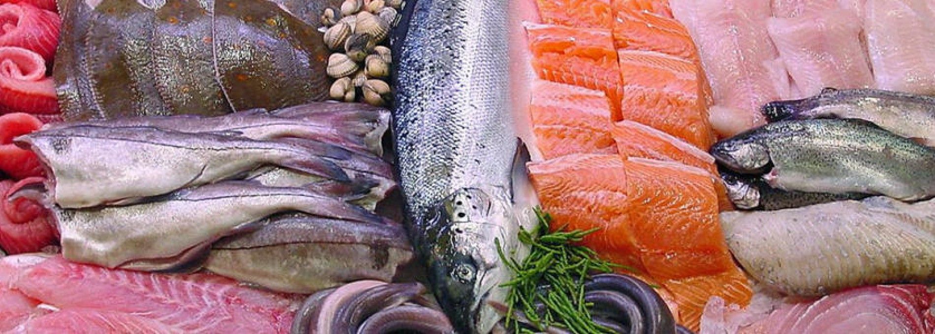 Fischhandel Metz Nes Ameland