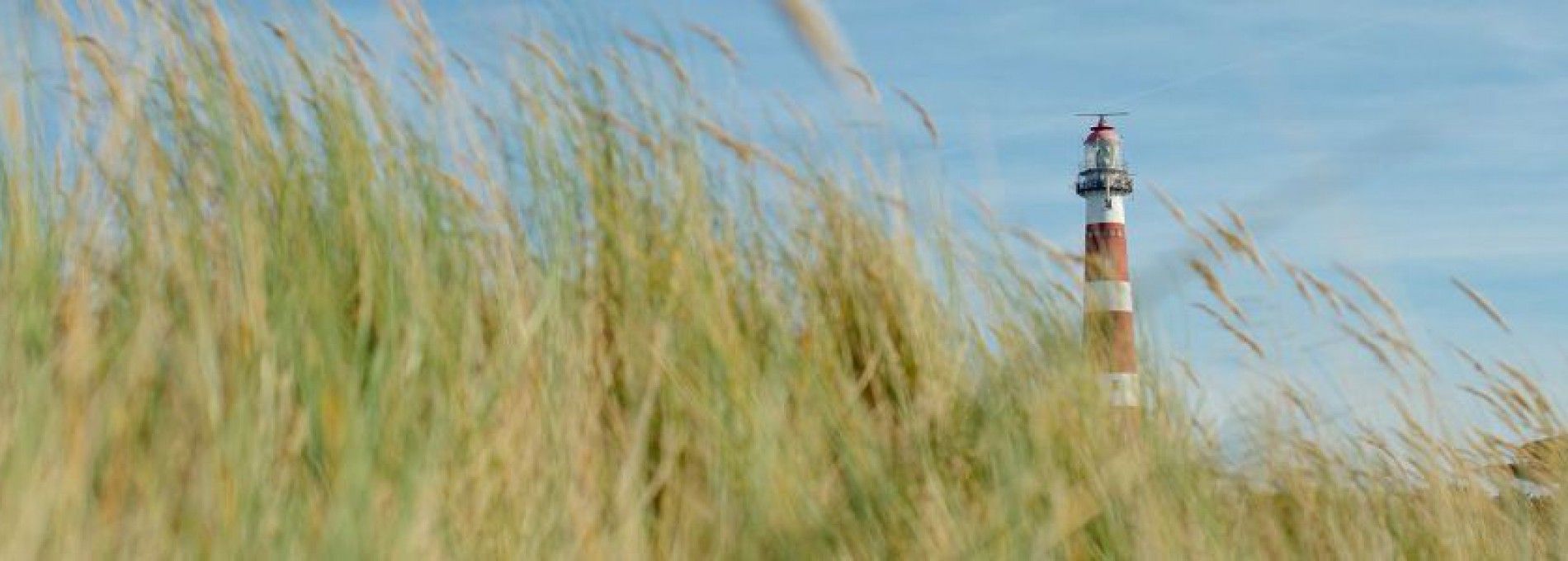 Amelander Produkte - VVV Ameland