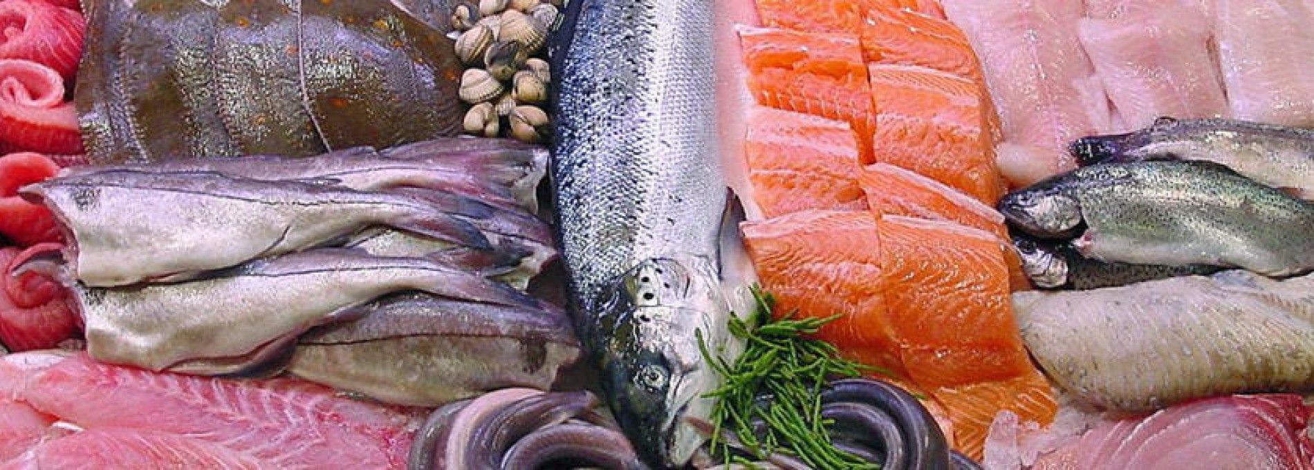 Fischhandel Metz, Nes - VVV Ameland