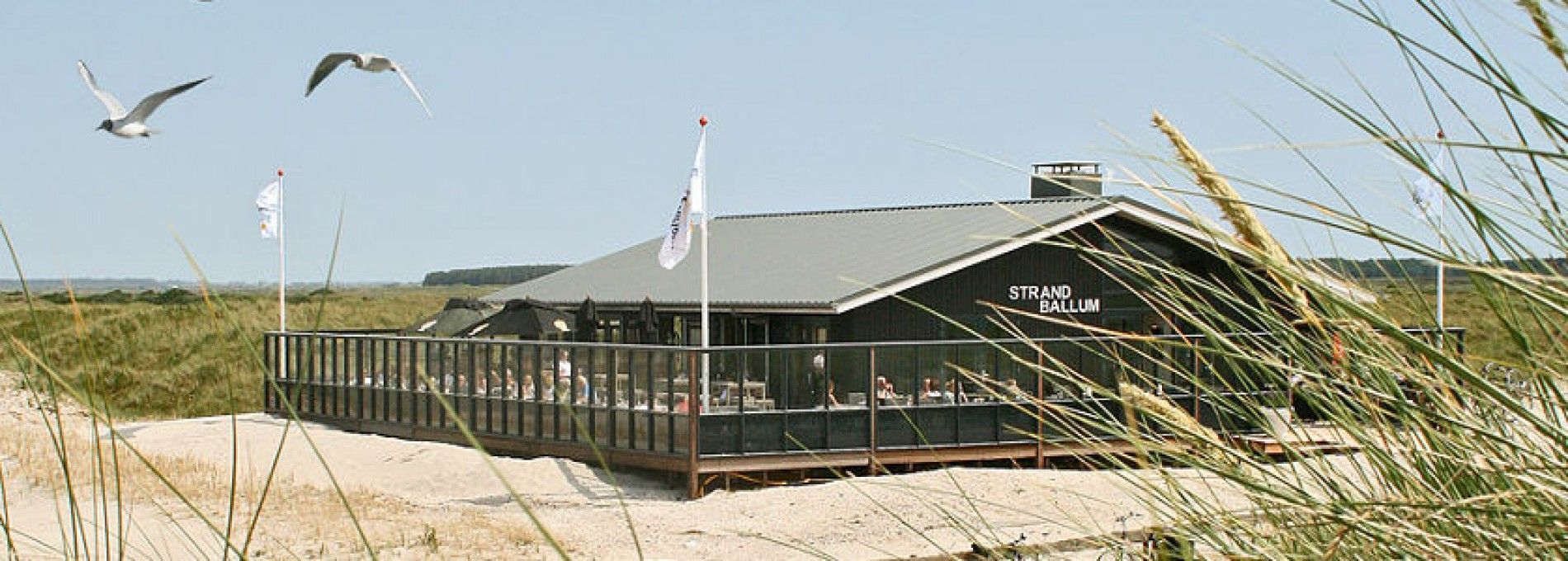Strandpavillon Ballum - VVV Ameland