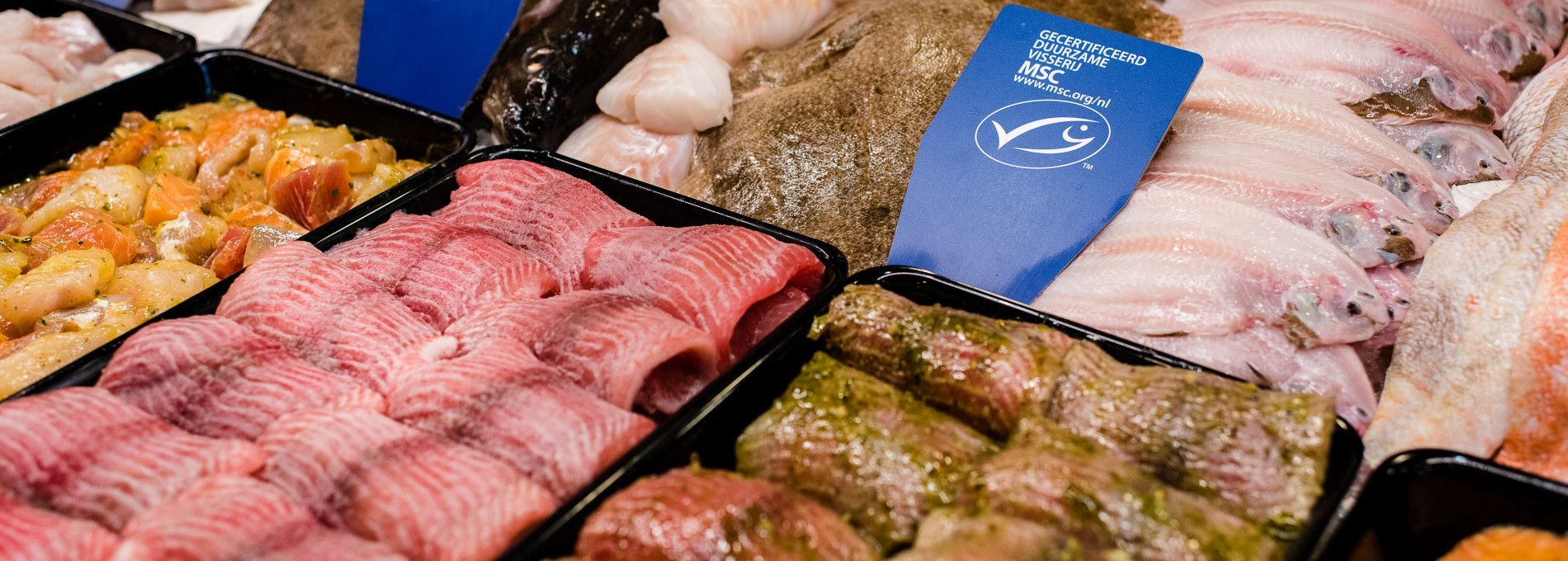Fischhandel Metz, Hollum - VVV Ameland