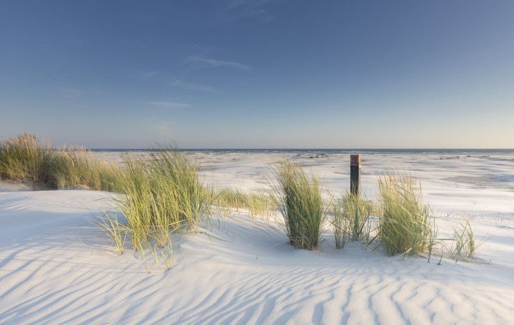 Ameland und Corona - VVV Ameland