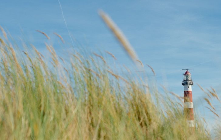 Tagesarrangement Ameland - VVV Ameland