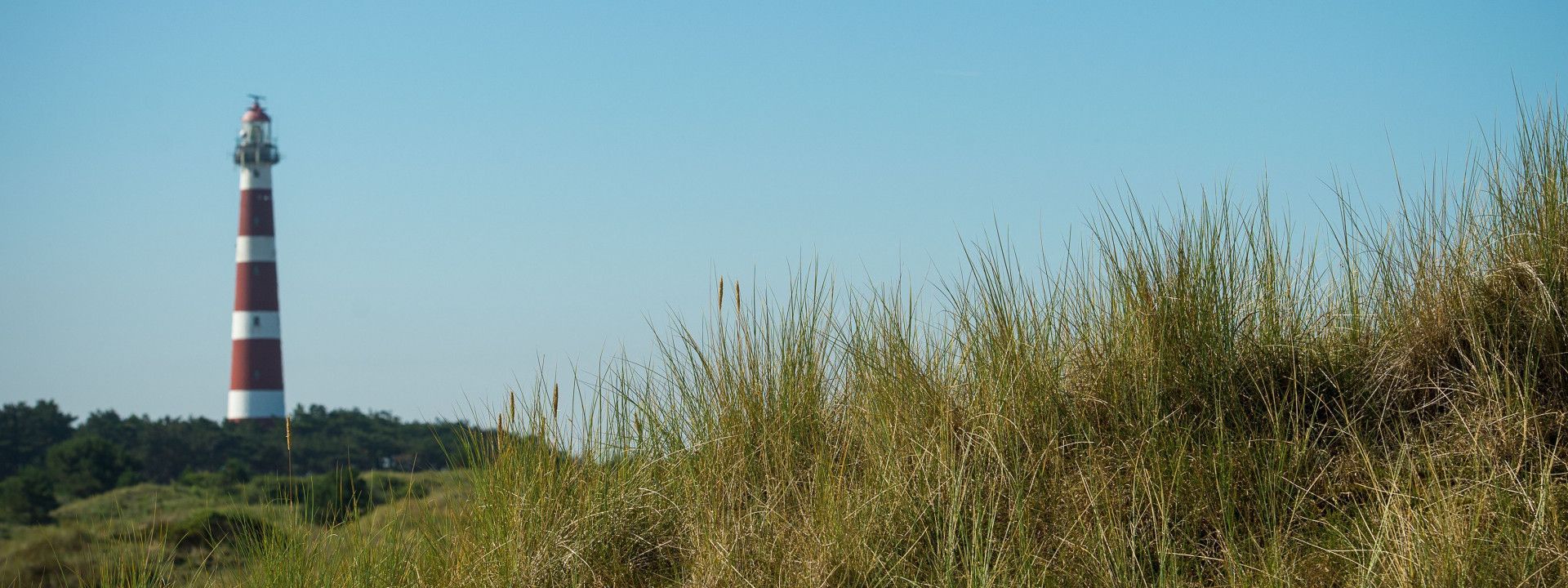 VVV Ameland