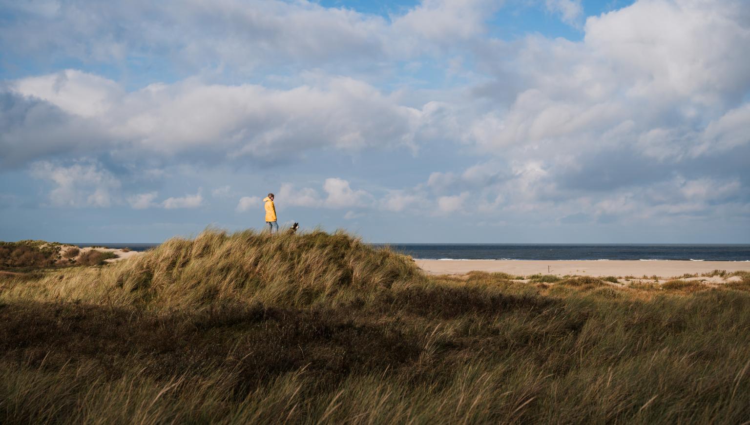 Jahreszeiten auf Ameland: Ein Erlebnis das ganze Jahr über