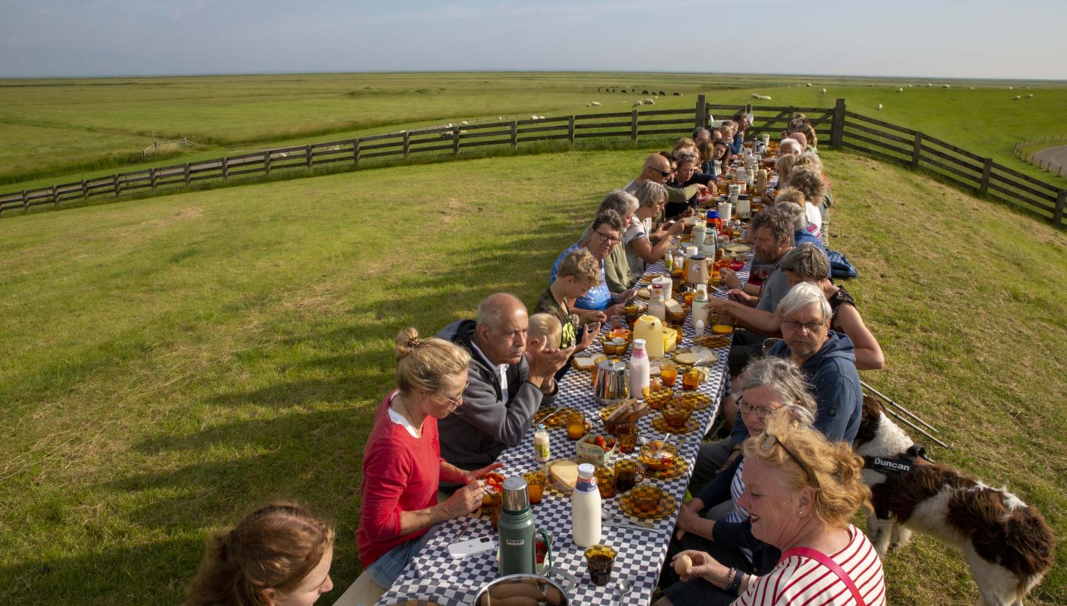 Tag des Wad - VVV Ameland