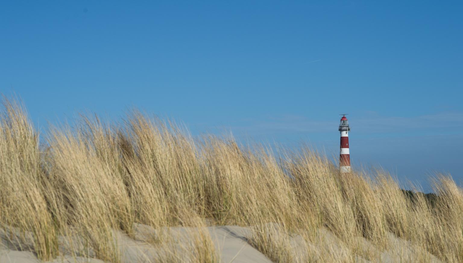 Gruppenhäuser Hollum - VVV Ameland