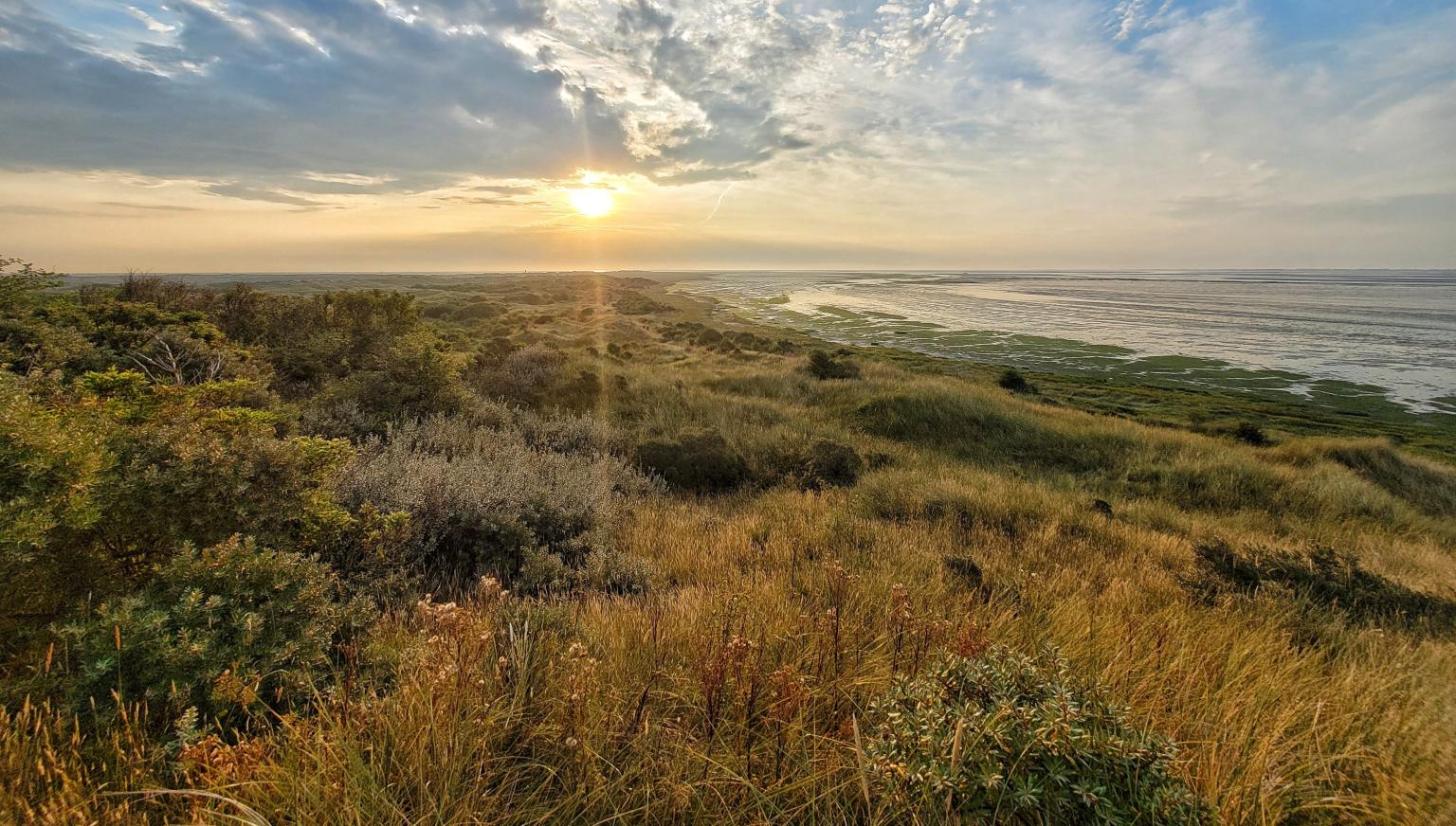 Oerd und Hôn auf Ameland - VVV Ameland 