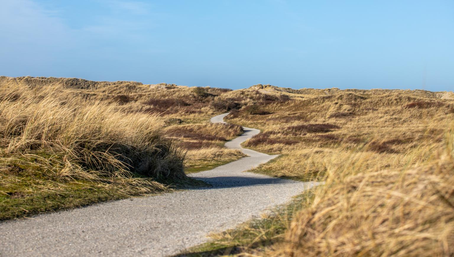 Gute Vorsätze? Fangen Sie auf Ameland an!  - VVV Ameland