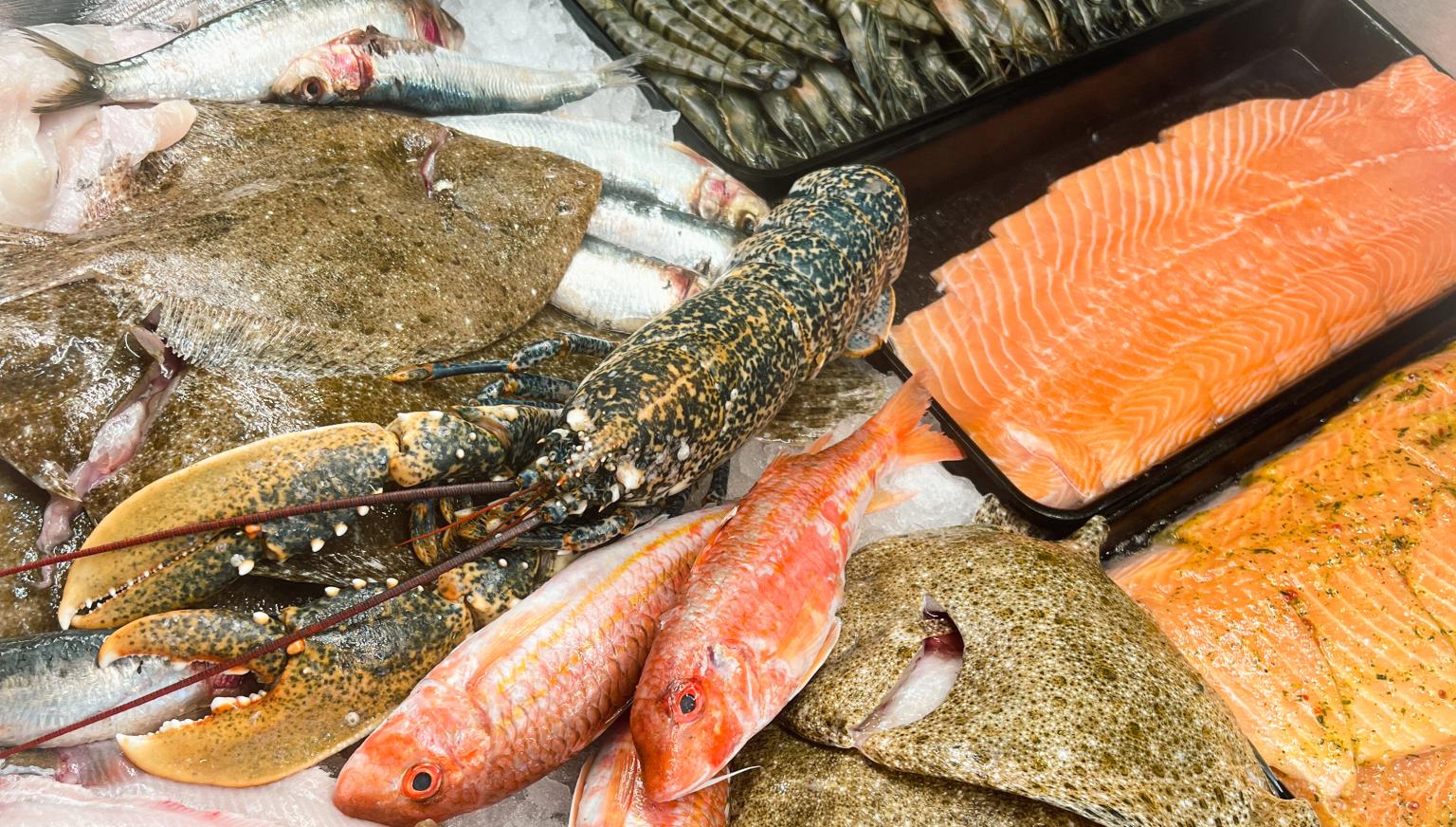 Fischhandel Metz Hollum - VVV Ameland