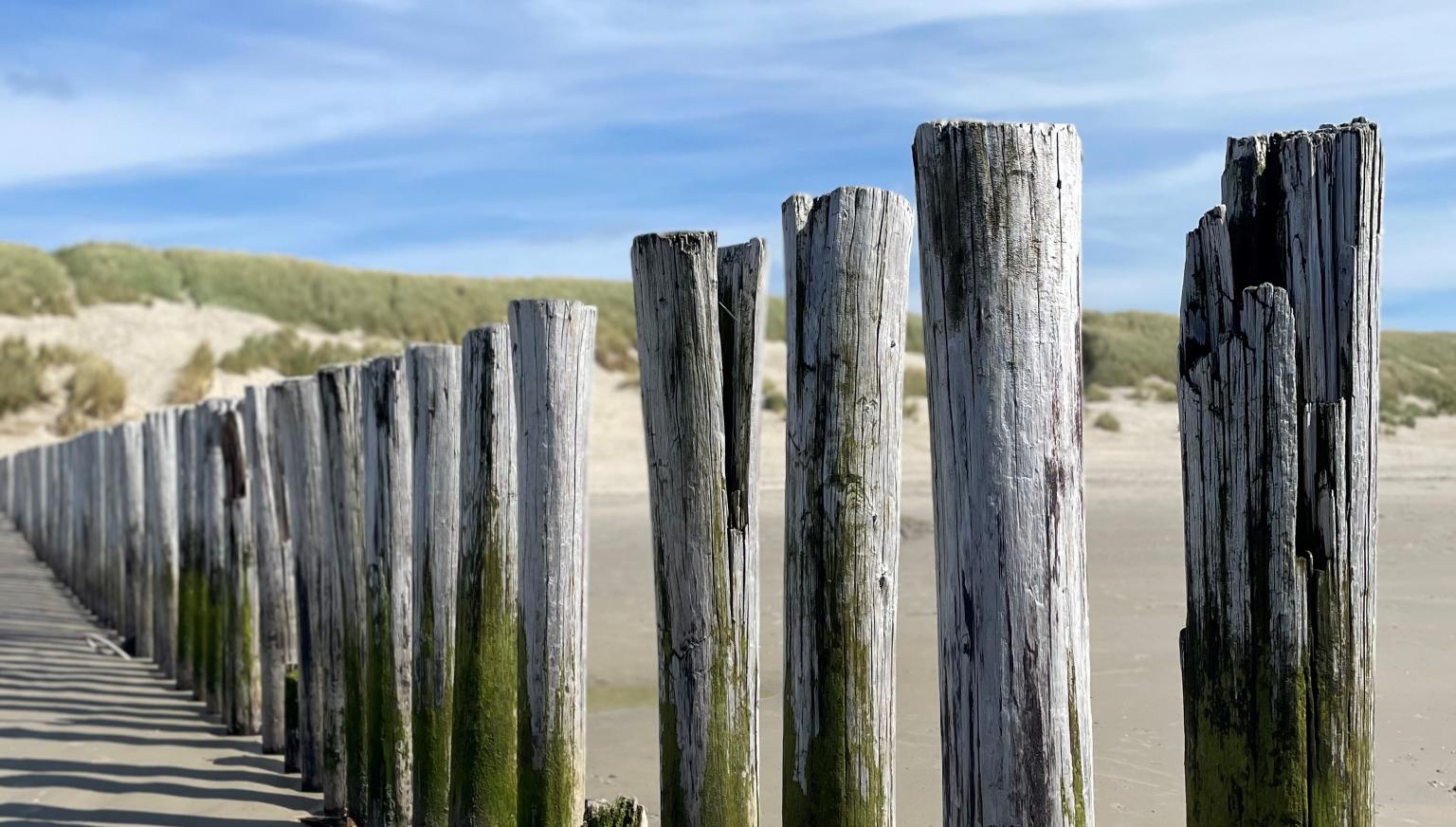 Last-Minute-Angebote auf Ameland - VVV Ameland