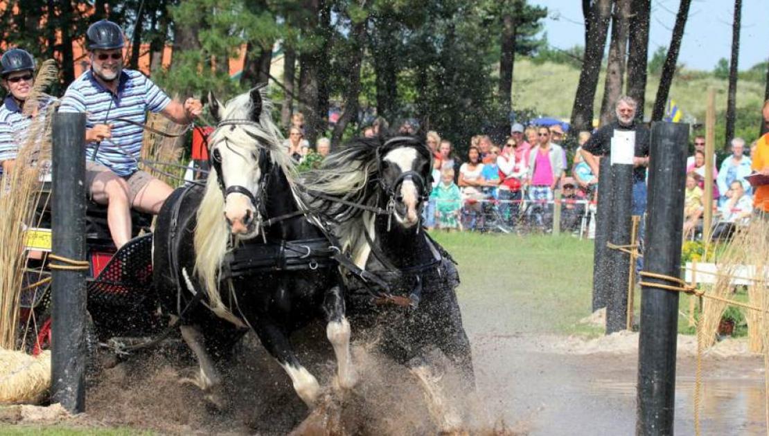 Pferdemarathon - VVV Ameland