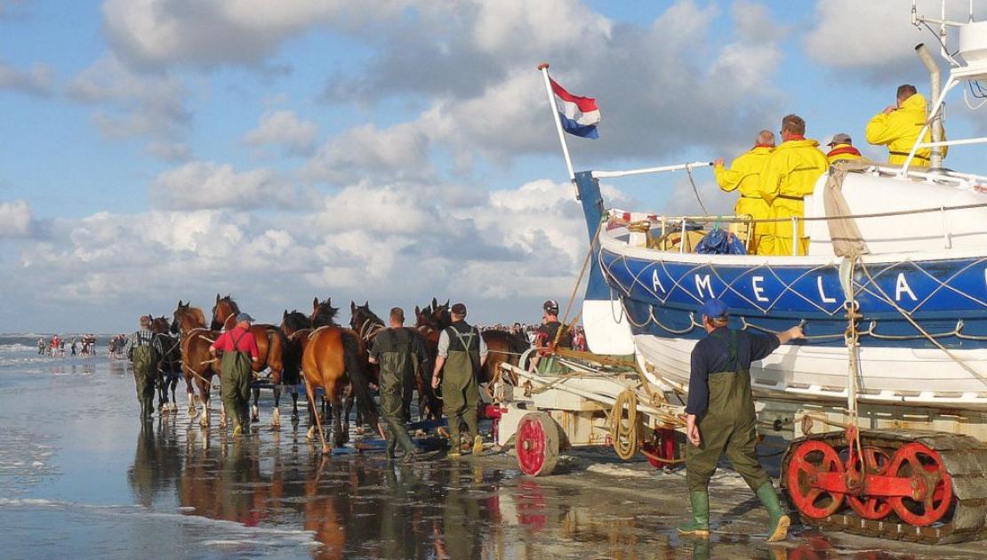 Vorführung des Pferderettungsbootes - VVV Ameland