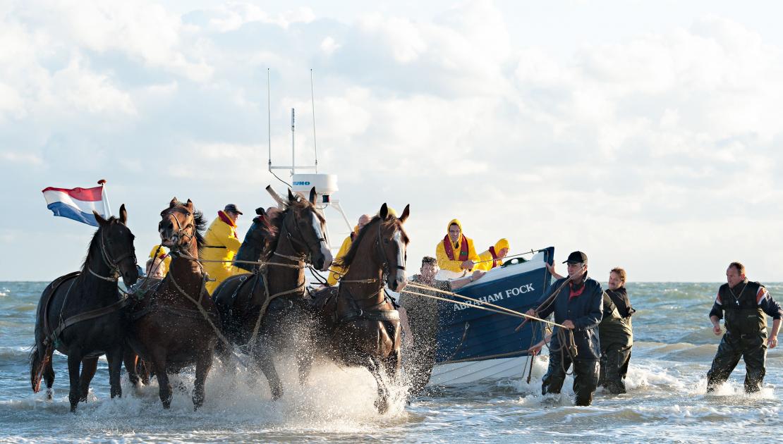 Vorführung des Pferderettungsbootes - VVV Ameland
