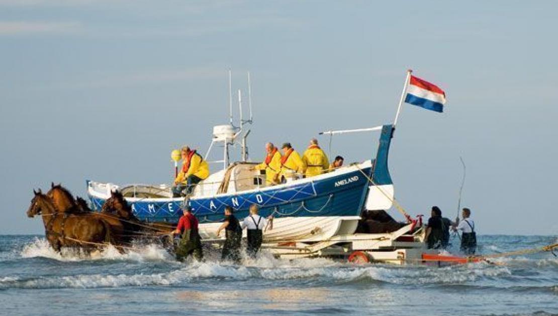 Vorführung des Pferderettungsbootes - VVV Ameland