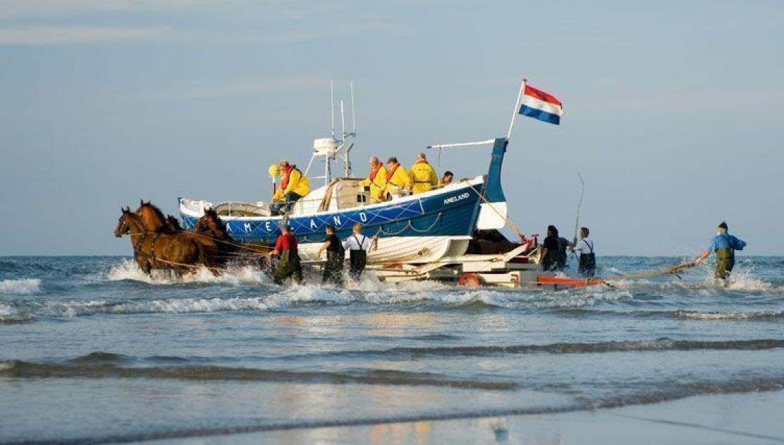 Vorführung des Pferderettungsbootes - VVV Ameland