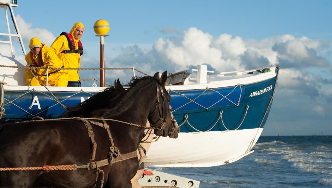 Vorführung des Pferderettungsbootes - VVV Ameland
