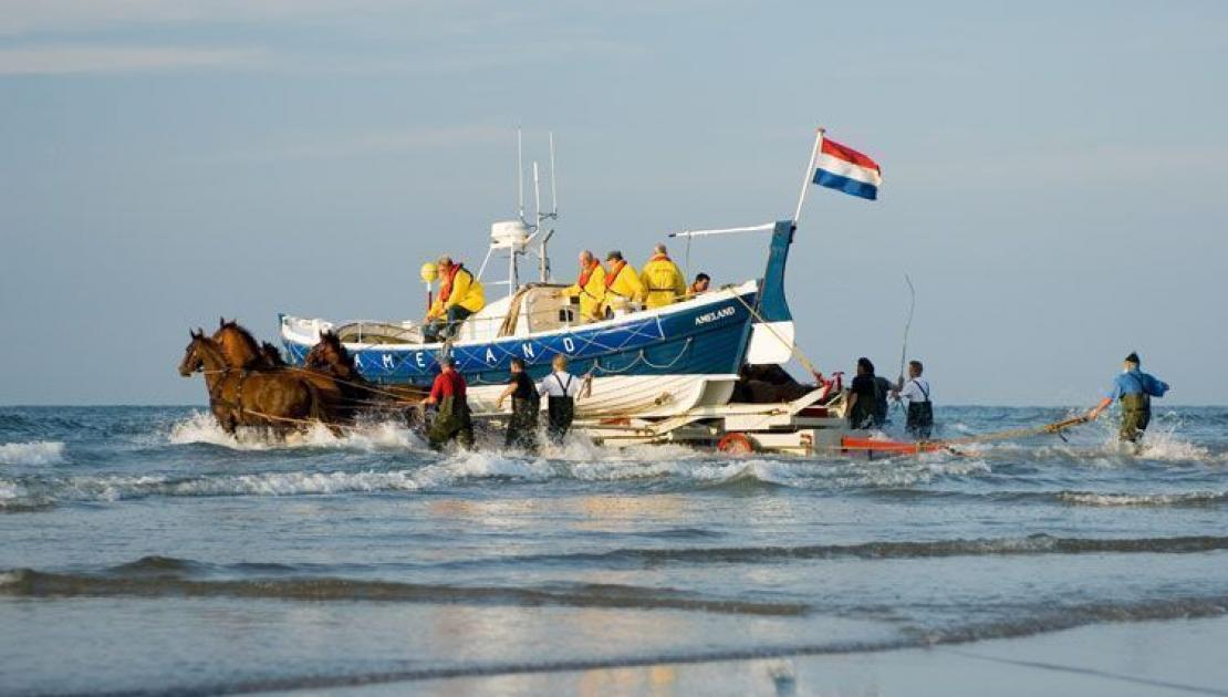 Vorführung des Pferderettungsbootes - VVV Ameland