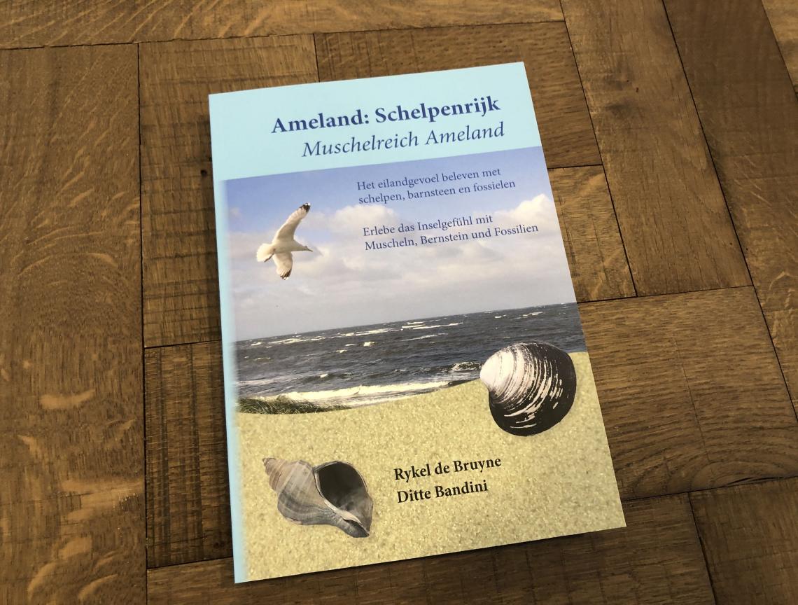 € 9,95 Rabatt auf Muschelreich Ameland - VVV Ameland