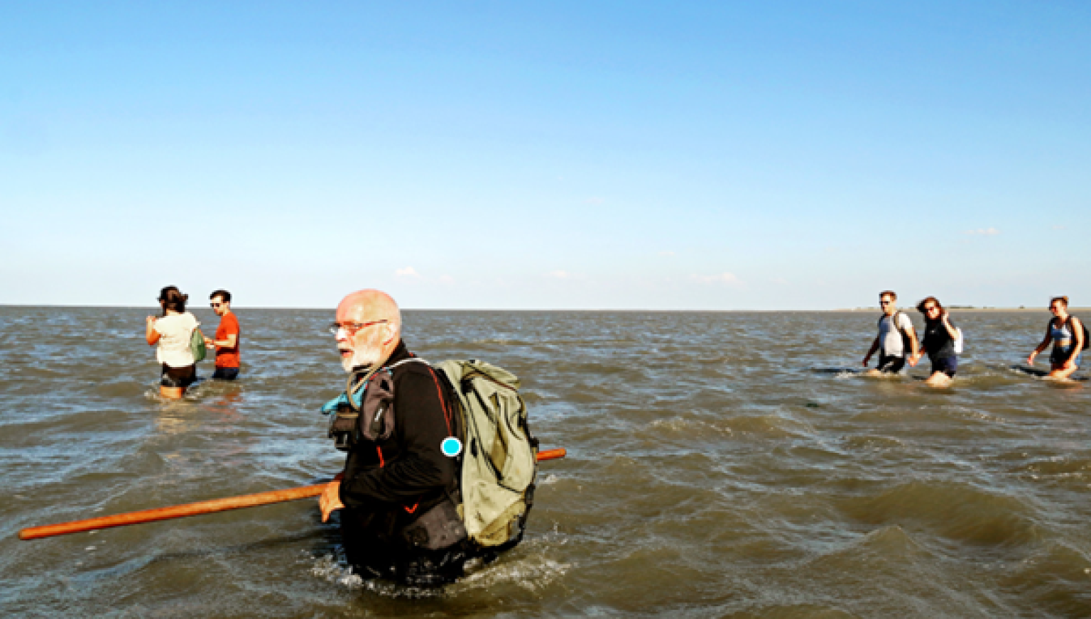 Wattwanderungen - VVV Ameland