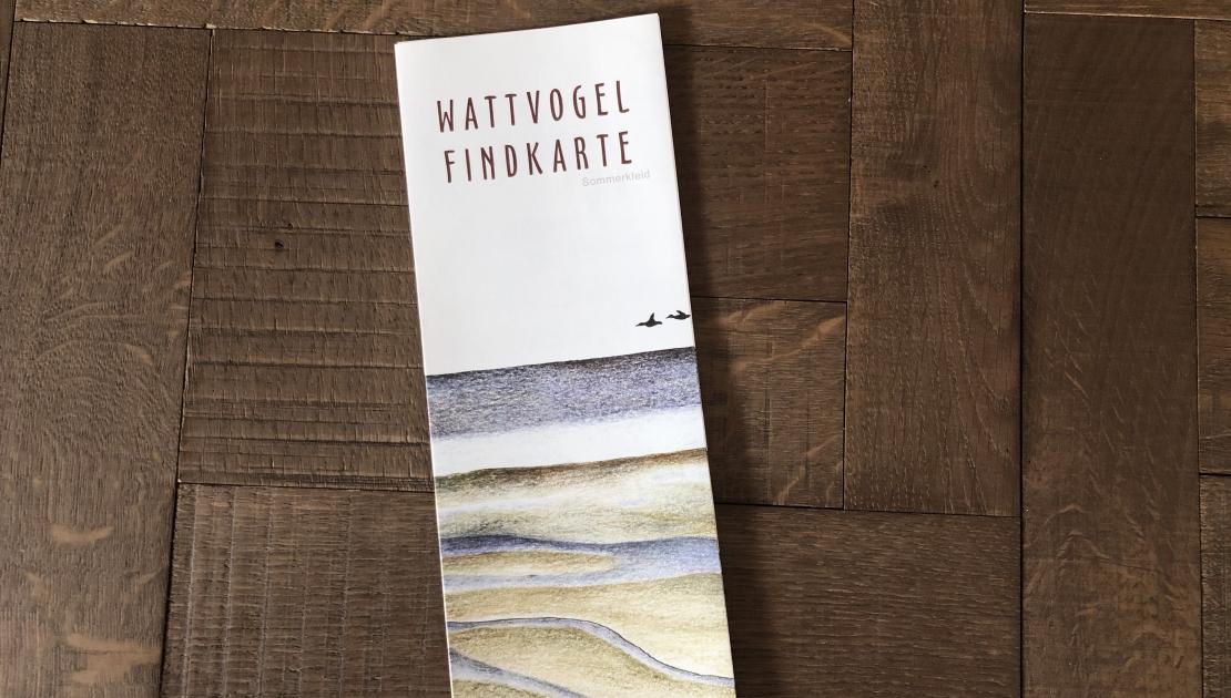 Wattvogel Findkarte - Webshop VVV Ameland
